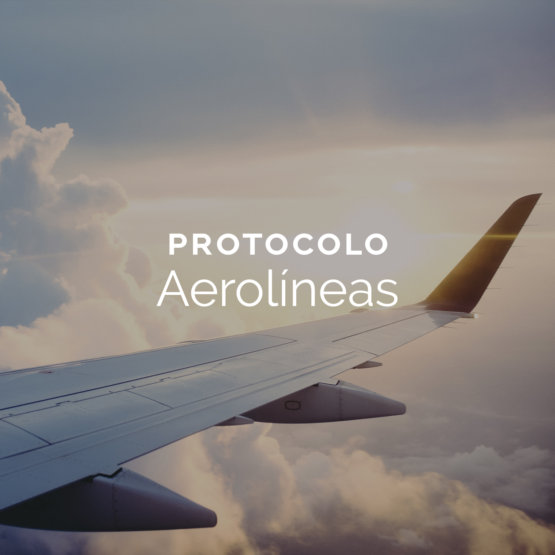 Protocolo Aerolíneas